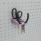 Scissor Organizer