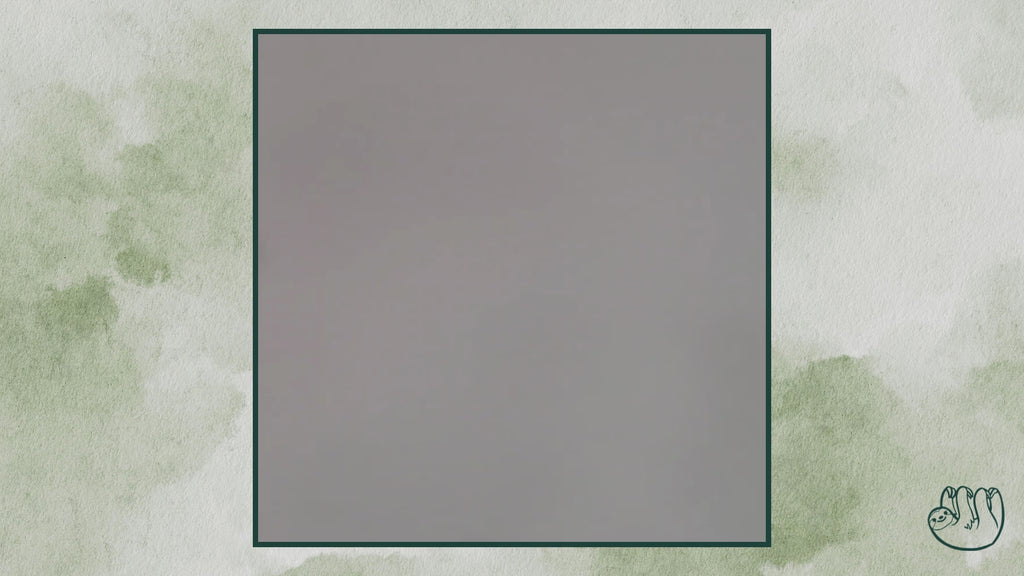 2oz Craft Paint Hex Wall Storage